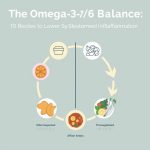 The Omega-3/6 Balance: 10 Recipes to Lower Systemic Inflammation The Omega-3/6 Balance: 10 Recipes to Lower Systemic Inflammation