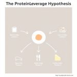The Protein Leverage Hypothesis: Optimizing Satiety on GLP-1 The Protein Leverage Hypothesis: Optimizing Satiety on GLP-1
